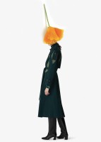 https://www.studiodaubal.com:443/files/gimgs/th-148_kenzo daubal01.jpg